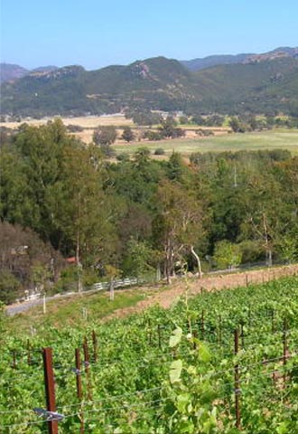 Principe Vineyards